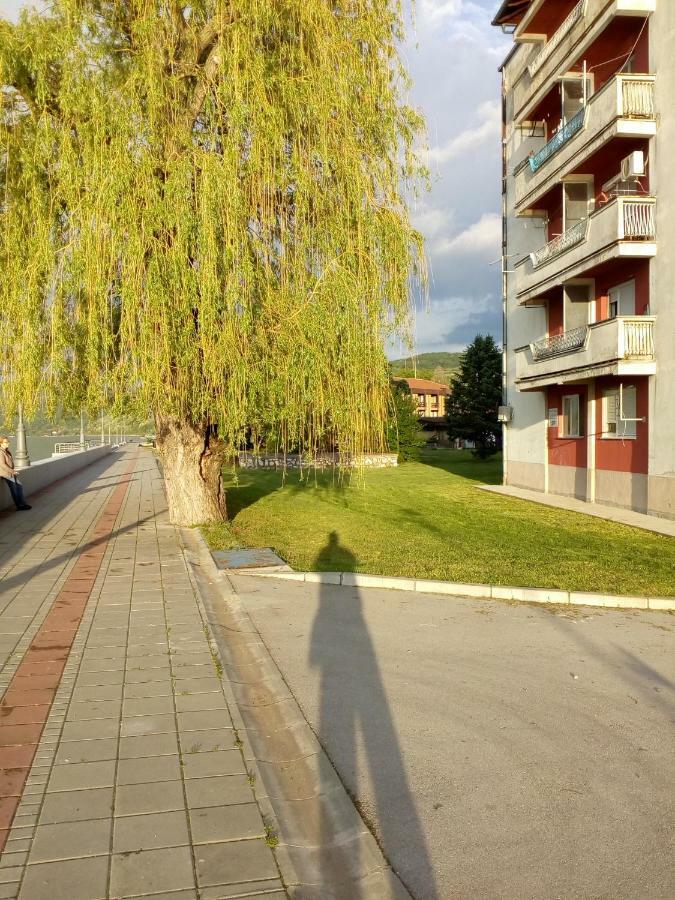 Bogojevic