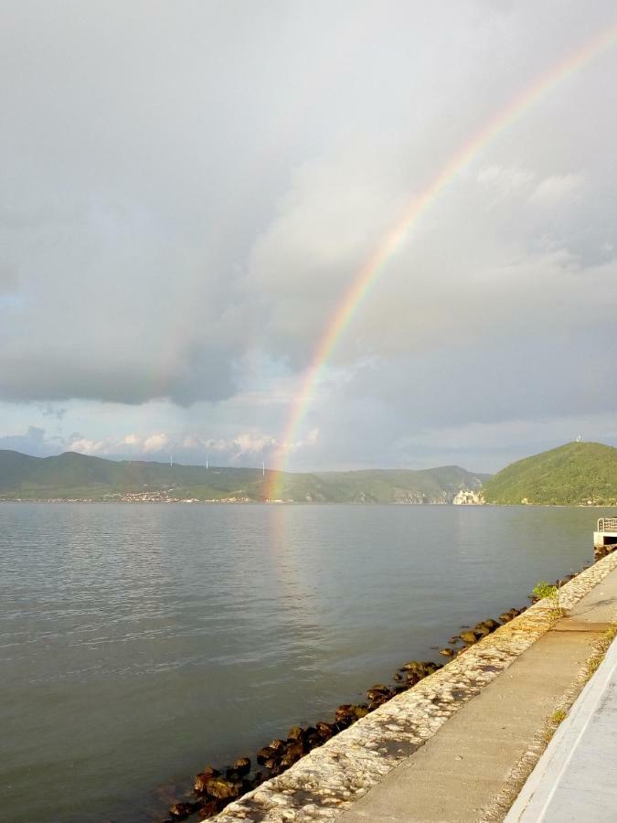 Bogojevic Golubac